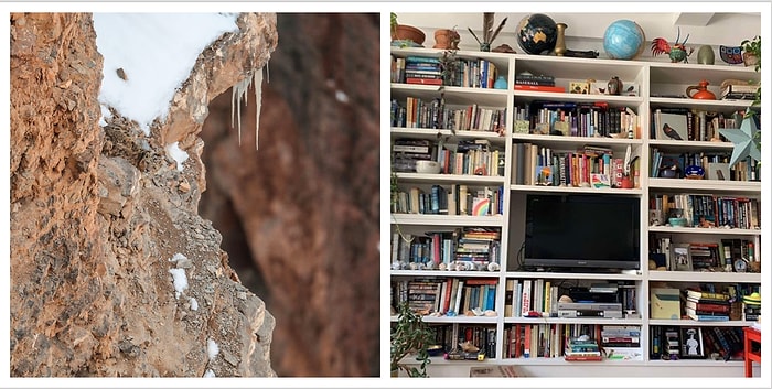 Даже мы не можем найти животных на этих 6-ти реальных фотографиях. А вам по зубам?