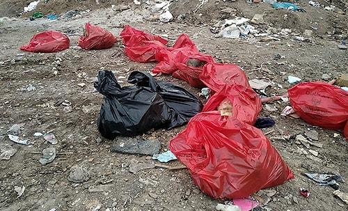 Ankara'da Molozların Arasında 20 Ölü Köpek Bulundu...