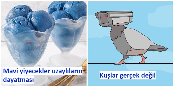 Akıl Tutulması Yaşadığımız Günümüzde, Duydukları En Saçma Komplo Teorilerini ve Görüşleri Paylaşan İnsanlar