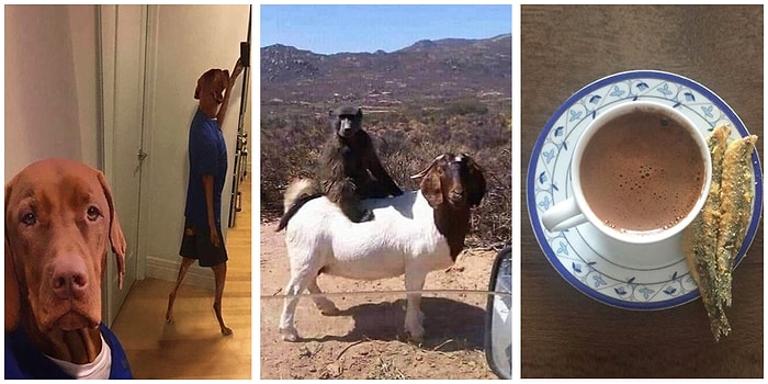 Görünce Anlamsız Deryasında Kendimizi Kaybedeceğimiz Gariplikte Birbirleriyle Yarışan 27 Kare