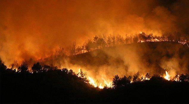 2019 yılında toplam 79 yangında 72 hektar ormanını kaybeden Hatay'da, Ekim 2020'de ise 300 hektar orman kül oldu.