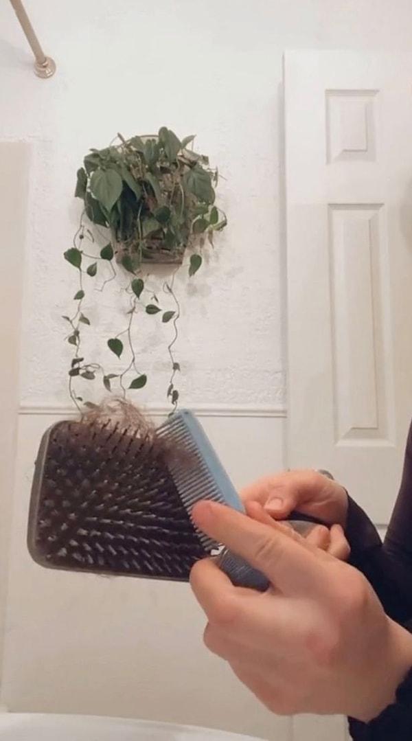 Temizlik bağımlısı Jessica Haizman, saç fırçasının 2 haftada bir temizlenmesi gerektiğini çektiği TikTok videosu ile gözler önüne serdi.