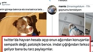 Eğlenceli mi İtici mi? Evcil Hayvanları Bozuk Türkçe İle Konuşturan Sosyal Medya Hesapları Tartışılıyor