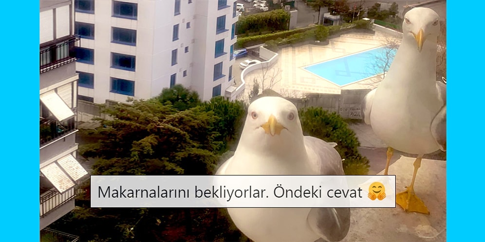 Yaşadıkları Komik Olayları Tweet’leyerek Sizin de Yüzünüzü Güldürüp Gününüzü Kurtaracak 15 Kişi