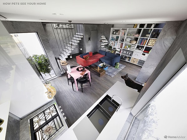 Вы когда-нибудь задумывались, как животные видят мир вокруг себя? Home Advisor создали проект и решили показать, как эти 7 животных видят одну и ту же квартиру