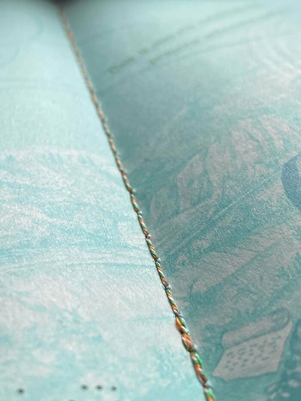 14. Ирландский паспорт имеет переплет со цветами флага страны