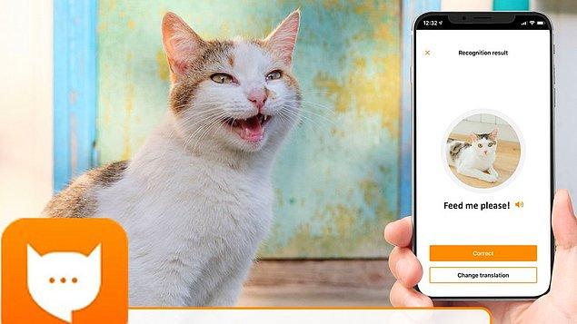 Eski bir Amazon Alexa mühendisi, kedilerin miyavlarken ne hissettiklerini İngilizceye tercüme eden MeowTalk (MiyavKonuş) adlı bir uygulama geliştirmiş. Kardeşim iyice kafayı yedi bunlar. Görmedik sayın siz.