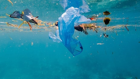 Tatlı Sularda Mikroplastik Uyarısı: İçme Suyuna Karışabilir