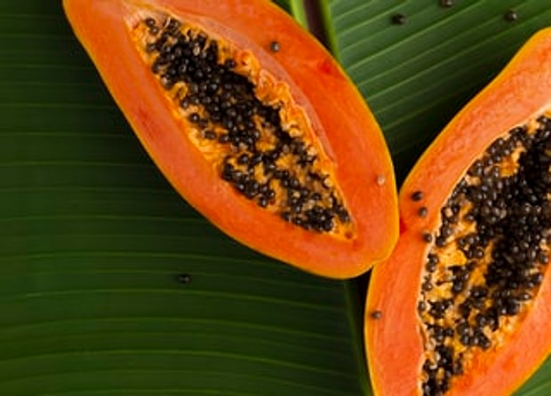 Papaya