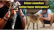Tüylü Dostlarımızı Severken Neden Kendimizi Daha Sakin Hissederiz?