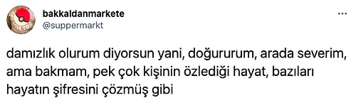 Ceren Hindistan Aşçı, Dadı ve Şoförü Olursa Çocuk Doğuracağını Söyleyince Komik Yorumlar Gecikmedi