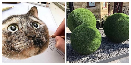 12 невероятно талантливых людей, которые творят чудеса голыми руками