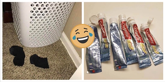 15 супружеских пар, в которых супруги постоянно держат друг друга в тонусе (Продолжение)