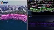 Antalya'da Belediyenin Falezleri Işıklandırma Projesine Tepki: Doğal Yaşam Olumsuz Etkilenecek