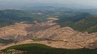 Kaz Dağları'nda 350.000 Ağaç Yok Edilmişti: Bakan 'En Hızlı Şekilde Ağaçlandıracağız' Dedi...