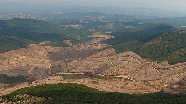 Peki Enerji ve Tabii Kaynaklar Bakanlığı ruhsat yenilemesi yapmazsa ne olacak?