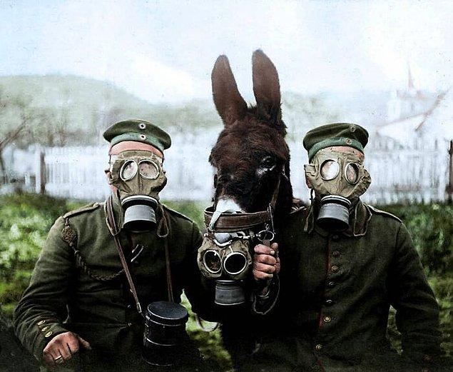 14. Birinci Dünya Savaşı sırasında çekilmiş bir fotoğraf.