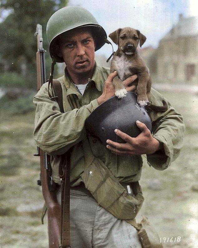 20. Pfc Joseph E. Day (1918-2009), Alman miğferinde Invasion isimli yavru bir köpeği tutarken (Le Dezert, Fransa, 1944).