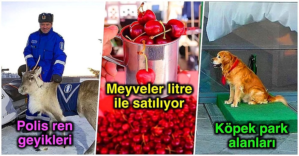 Tüm Dünyada Hepimize Anormal Gelen Ama Finler İçin Oldukça Normal Olan 26 Fantastik Şey