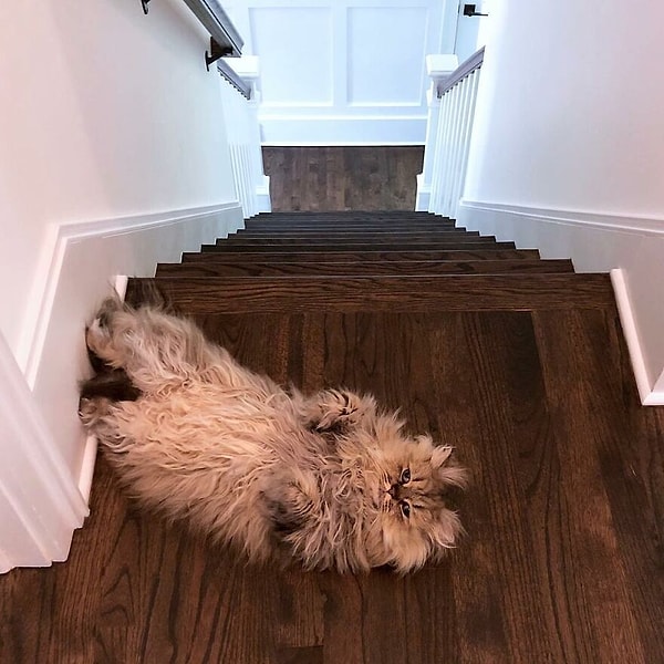 6. "Я проспал уже 20 лет, но все равно хочу еще спать"