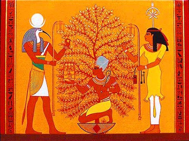 11. Mısır mitolojisi - Lusaaset Ağacı