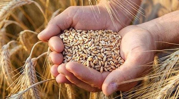 12. Arjantin, dünyanın en büyük beşinci buğday ihracatçısı ülkesidir.