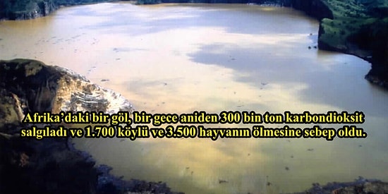 Hatırası Zihninize Adeta Paslı Çivi Gibi Saplanıp Kalacak Alelâcayip 14 Olay