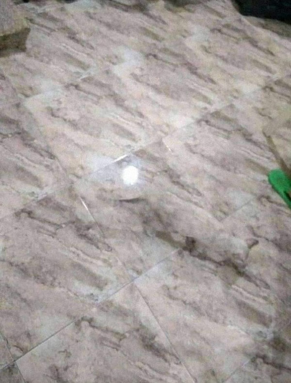 1. Опасно иметь такой пол с таким котом!