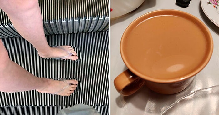 15 идеальных маскировок: спецназу стоило бы поучиться