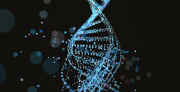 Bunun daha kötüsü DNA'mıza işliyor. Son araştırmalara göre DNA'mızda meydana gelen mutasyonların bir çoğu maruz kaldığımız sigara yüzünden.