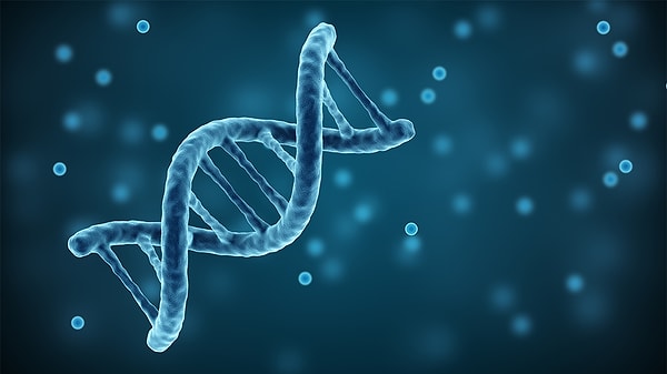 Her DNA mutasyonu sizi kanser edecek gibi bir durum söz konusu değil ancak her sigara içişinizde kansere karşı daha yatkın bir hale geliyorsunuz.