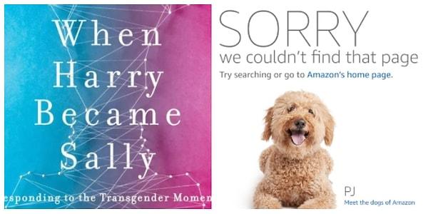 Amazon Ryan Anderson'ın 2018'de basılan "When Harry Became Sally- Harry, Sally Olduğunda" adlı kitabını internet mağazaları, e-book ve sesli kitap platformlarından kaldırmıştı.
