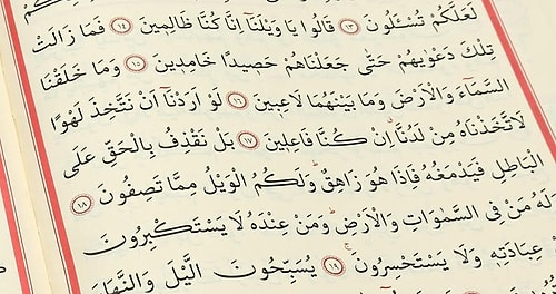 Biraz Sosyoloji Biraz Siyaset: Ülkemizde En Çok Beğenilen 10 Şey