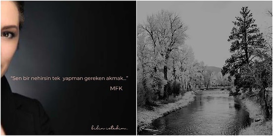 Meltem Farah Konyalı Yazio: Sen Bir Nehirsin. Tek Yapman Gereken Akmak