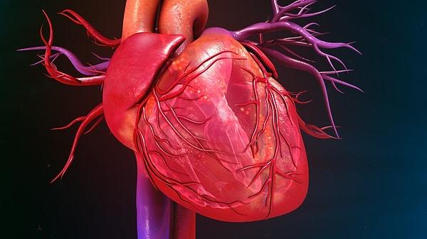 Göğsünüzün sol boşluğunda fiziksel bir ağrı hissediyorsanız 'Kırık Kalp Sendromu' na yakalanmış olabilirsiniz.