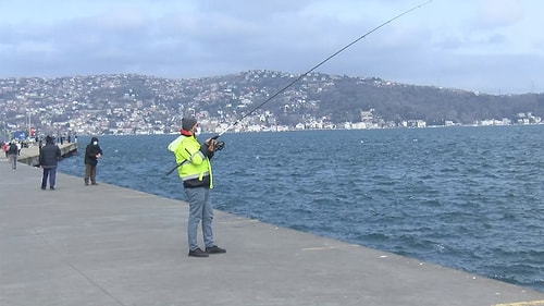 Süper Güçlü Bakteriler Ortaya Çıkabilir! İstanbul Boğazı'nda Kurşun Tehlikesi...