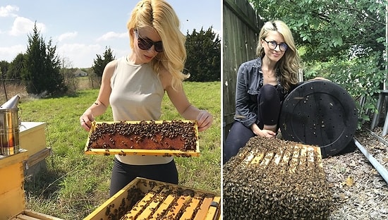 Koruyucu Hiçbir Kıyafet Giymeden Arıları Taşıyan Yürek Yemiş Kadın: Erika Thompson