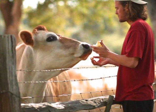 25. Cowspiracy: The Sustainability Secret (2014)