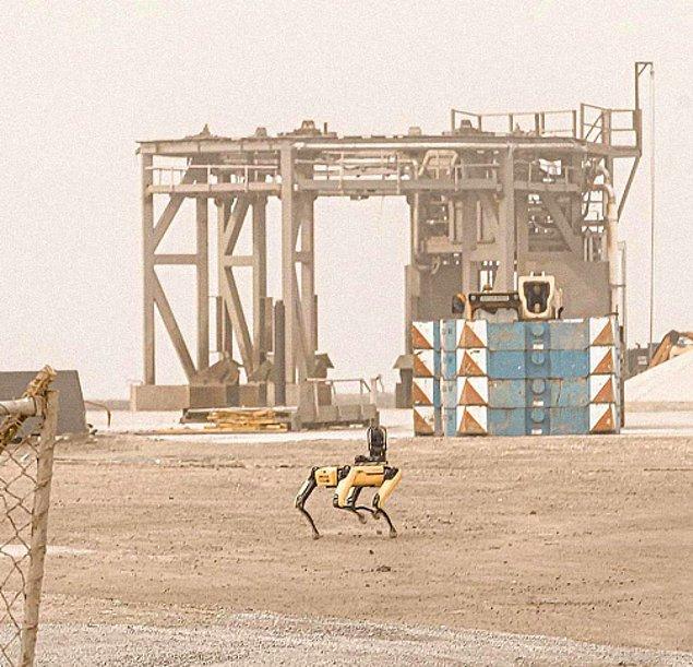 16. SpaceX, insanların yaklaşması için güvenli olmayabilecek alanları incelemek için robotik köpekler kullanıyor.