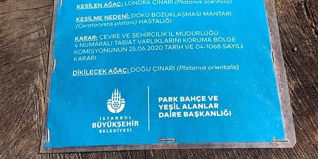 Hastalık getirdi