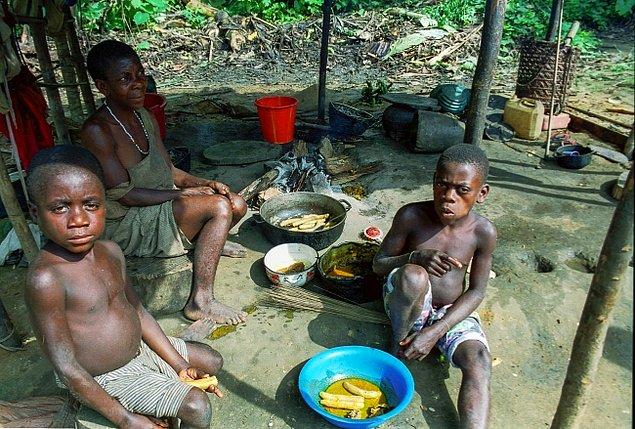 Günümüzde bilinen 120 bin Pigmenin yaşadığı tespit edilse de Kongo'nun balta girmemiş yağmur ormanlarında 600 binden fazla Pigmenin yaşadığı varsayılıyor.