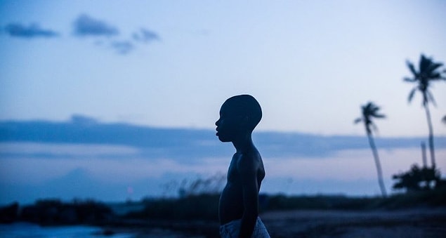 27. Ay Işığı (2016)
