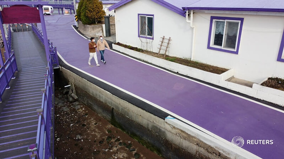 Острова в Южной Корее выкрасили в пурпурный цвет, чтобы привлечь туристов, и это сработало!