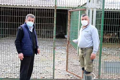 Hayvanat Bahçesindeki Geyiği Kaçırıp Yemişlerdi: Olayın Ayrıntıları Ortaya Çıktı