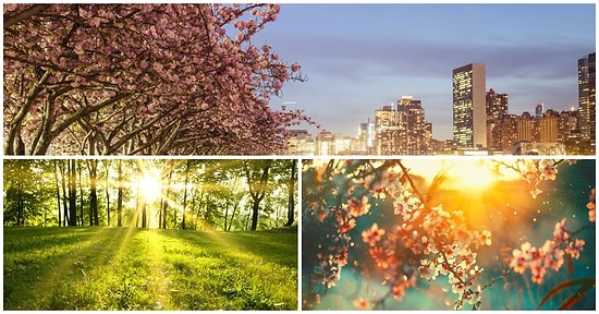 Buket Harıkçı Yazio: Hayalperest Mevsimi