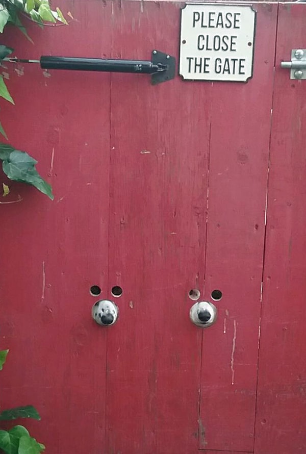 5. У ворот есть глаза. И мокрые носики