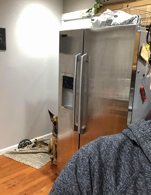 14. Готовила ужин и заметила, что кто-то шпионит