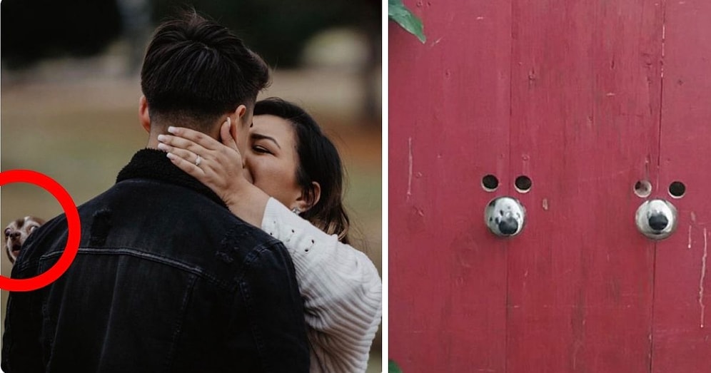 Они следят за нами: 20 самых милых и забавных фотографий подглядывающих собак, которые сделают ваш день лучше