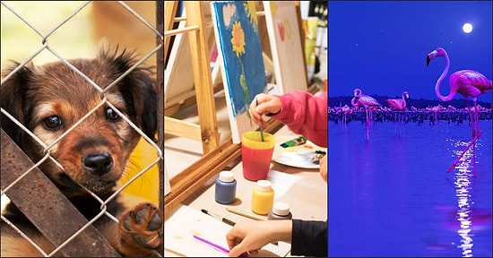 Bizim Hatalarımıza Düşmesinler Diye Çocuklarımıza Doğa Sevgisini Aşılamak İçin Yapabileceğimiz 12 Şey