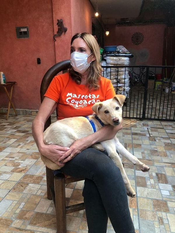 Затем Бостона отправили на базовую подготовку, где он научился стартовым командам и правилам обращения с другими собаками